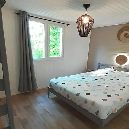 Ardentardenne - * דורבורי